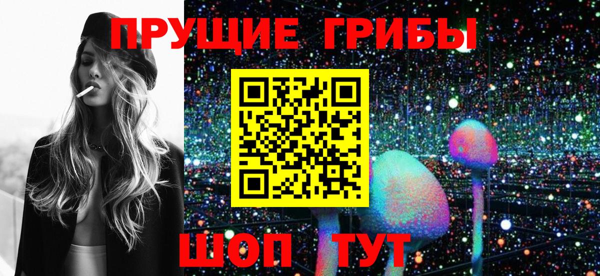 Бахчисарай  Псилоцибиновые грибы Cubensis  Вход с VPN 